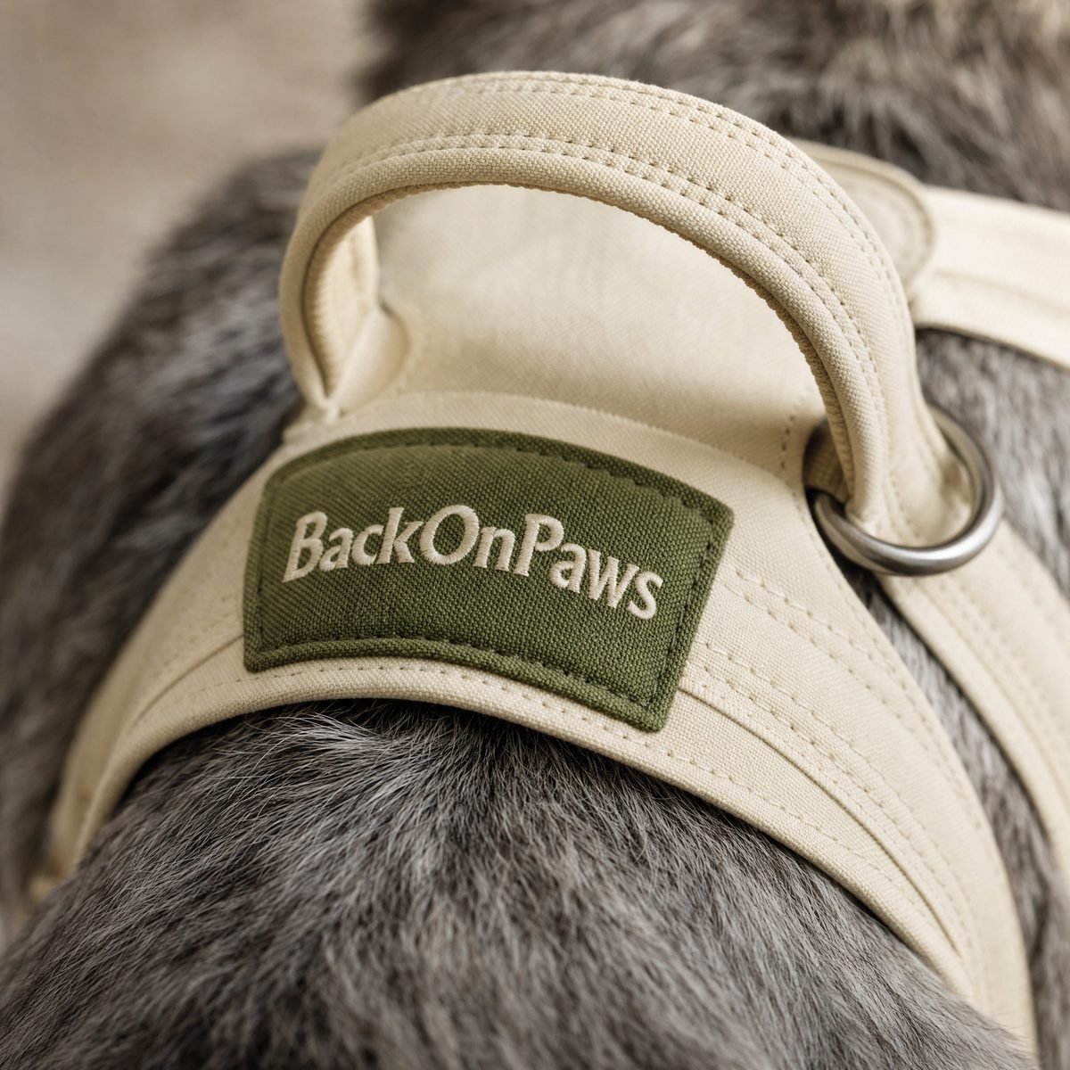 Close-up of the padded lift handle and BackOnPaws branded patch